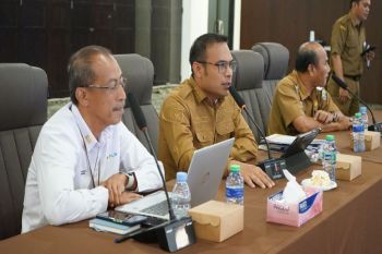 Kotabaru meets with PLN on power grid development and installation
