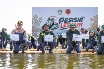 Pemkab Gresik-PT Smelting tanam 10.000 mangrove cegah abrasi