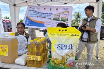 Bulog Manokwari sediakan 300 ton beras SPHP untuk gerakan pangan murah