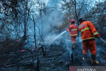 Kebakaran lahan dua hektare di Desa Pelayangan Kabupaten Batang Hari