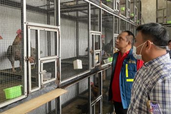 Daftar harga emas di Pegadaian hari ini