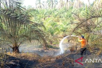 BPBD Muara Enim padamkan karhutla di Desa Muara Harapan