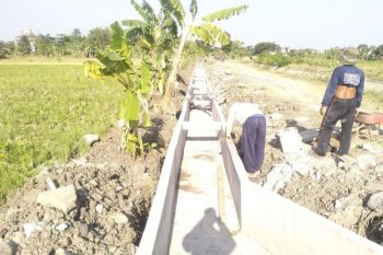 Demak dibantu irigasi di 115 lokasi untuk mendukung optimalisasi pertanian