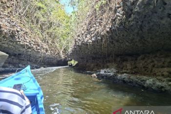 Kontribusi perahu listrik bagi kawasan wisata Rammang-Rammang