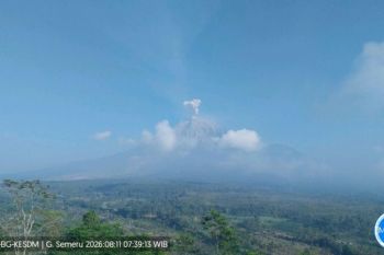 Mount Semeru erupts eight times, sends ash 700 meters high