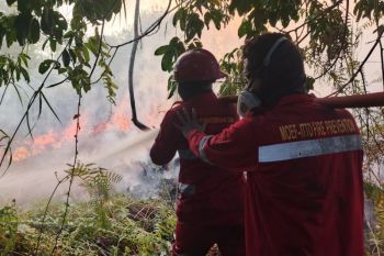 Dishut Kaltara perkuat peran warga kendalikan karhutla