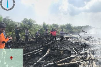 Polda Riau tetapkan dua tersangka karhutla 4 hektare di Bengkalis