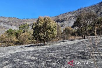2.056 wisatawan ajukan "refund" usai Bromo ditutup total