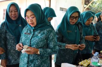 Ketua PKK Kotim pantau implementasi program Aku Hatinya PKK di desa