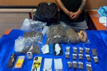 Polda Bali gagalkan peredaran ganja 1,7 kg di Jimbaran