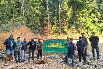 Patroli gabungan amankan lokasi tambang emas dalam kawasan hutan