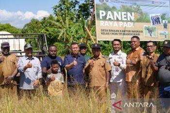 Desa binaan Imigrasi di Manokwari lakukan panen padi perdana