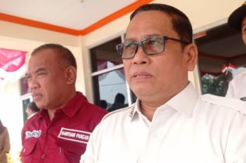 Kurangi ketergantungan beras, Pemkab Lebak perluas diversifikasi pangan
