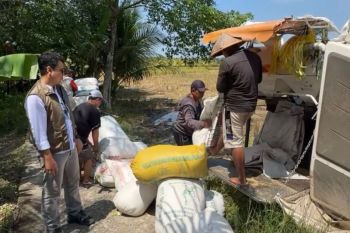 Bulog Singkawang serap 7.862,97 ton gabah petani