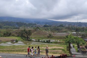 Kinerja dunia usaha di Bali menguat didorong liburan sekolah