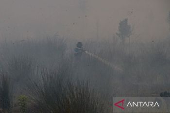 Pemkot Palangka Raya perpanjang status tanggap darurat karhutla