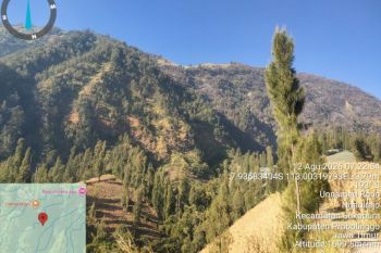 BPBD: Titik api karhutla Gunung Bromo di Probolinggo sudah padam