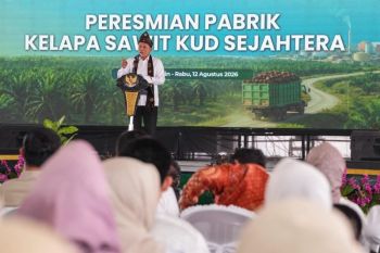 Menkop dukung hilirisasi sawit koperasi hingga refinery minyak goreng