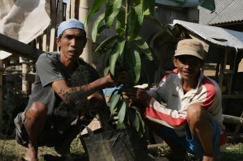 DMC Dompet Dhuafa realisasikan Program Sedekah Pohon