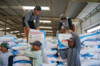 Laba Pupuk Indonesia tembus Rp8,51 triliun di semester I 2026, berkat transformasi Danantara