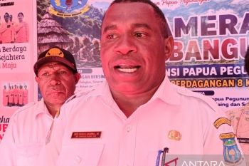 BPKP Papua dorong pemda gunakan aplikasi FMIS