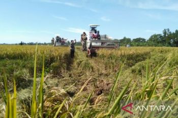 Dinas Pangan Purwakarta atasi sawah terancam kekeringan dengan bantuan pompa air