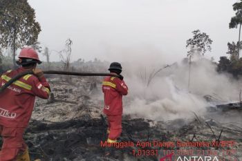 Satgas  padamkan karhutla di Kumpeh Muaro Jambi