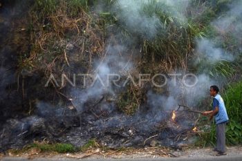 Warga padamkan potensi kebakaran lahan di Tanah Datar