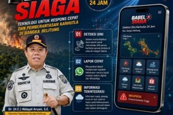 Gubernur terapkan Babel Siaga perkuat deteksi dini karhutla