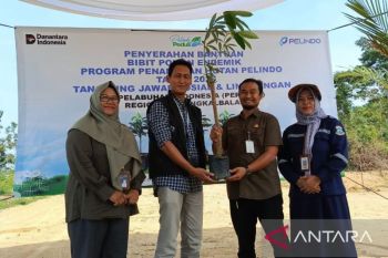 Pelindo Pangkalbalam tanam 650 pohon endemik  Babel di Taman Dealova Pangkalpinang