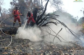 BPBD: 159 desa dan kelurahan di Riau berpotensi rawan karhutla