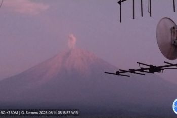 Semeru erupsi 8 kali jumat pagi, kolom abu capai 1,2 km