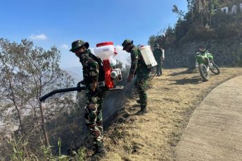 Indonesia cools 8 hotspots in Mount Bromo after active fires put out