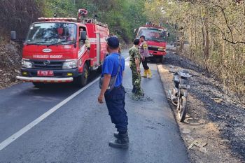 BPBD Malang: 12 hektare perkebunan jati di Gunung Geger terbakar