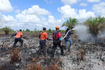 Ratusan hotspot terpantau, Satgas Karhutla Kotim tetap utamakan pengecekan lapangan