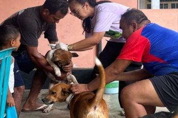 Rabies mengintai, Dompu perkuat vaksinasi HPR dan kesadaran masyarakat