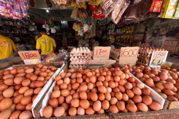 Harga bahan pangan di Kota Pontianak relatif stabil saat kemarau