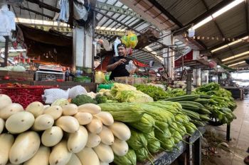 Kemarau di Pontianak mulai tekan produksi dan harga sayuran
