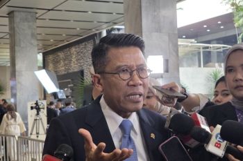 Komisi XI sebut PFII bisa beri insentif hingga kewarganegaraan ganda