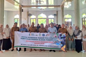 Dinas Pangan Aceh Besar berdayakan pangan lokal penuhi ketersediaan