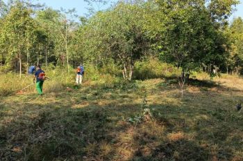 Pemkot Pangkalpinang bersihkan Kebun Raya Tua Tunu guna cegah karhutla