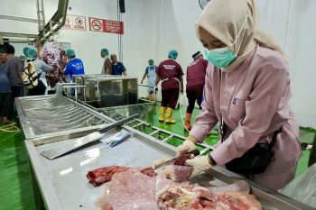 Rumah Potong Hewan Batam perkuat edukasi pentingnya daging ASUH