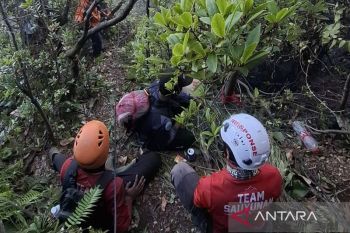 Firefighting&nbsp;efforts continue at Mount Gede&nbsp;wildfire