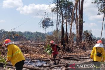 Dinas Kehutanan Kaltim optimalkan posko siaga untuk antisipasi karhutla