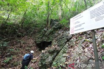 Pemkab Berau menuju transisi tambang ke pariwisata berbasis kelestarian alam
