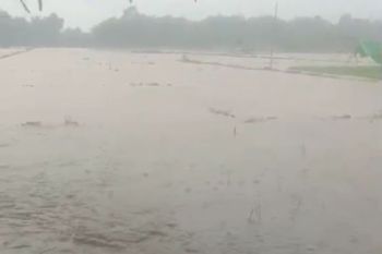Hujan deras, puluhan hektare lahan pertanian di Simeulue terendam banjir