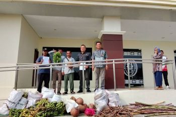 Tak punya Rp3 miliar, tiga petani Mukomuko minta MA pertimbangkan putusan lahan