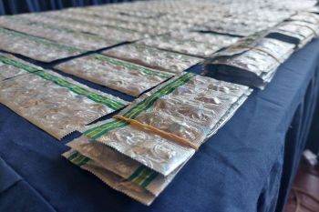 Legislator DKI dorong warga perkuat pencegahan peredaran obat keras