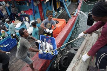 Realisasi PNBP PPN Prigi Trenggalek capai Rp197,78 juta per 13 Agustus