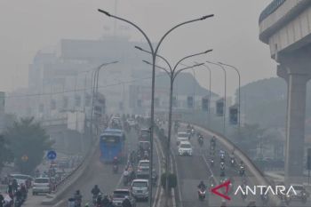 Dinkes Palembang imbau masyarakat waspada dampak kabut asap